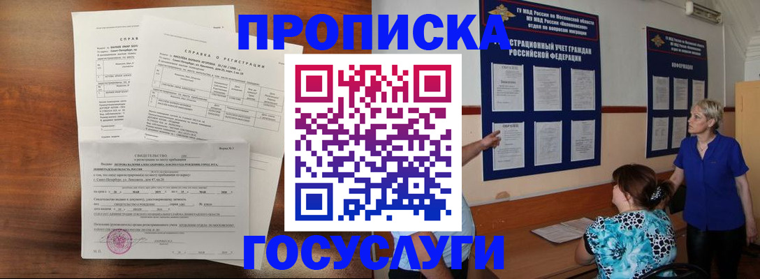 прописка 2025 в Щёлково